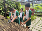 Students taking part in an outdoor Chinese language learning activity.